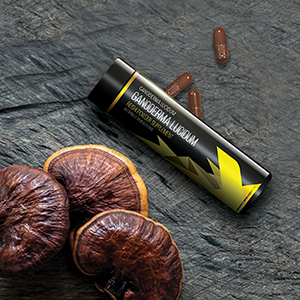 BEHEER VAN HET LICHAAM