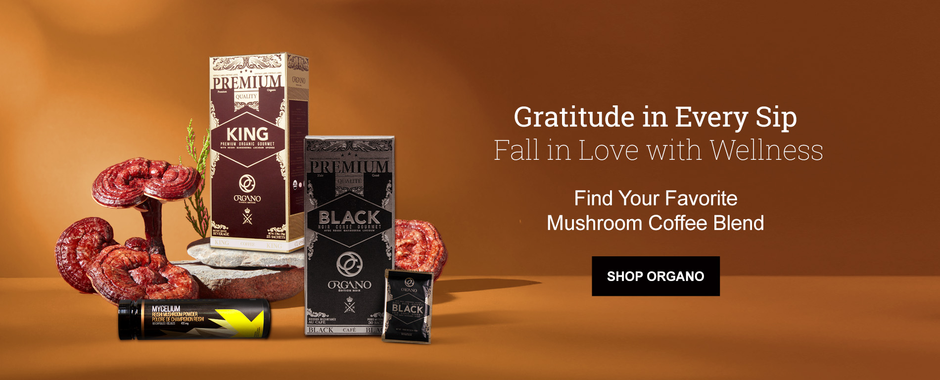 October Wellness ENG USA