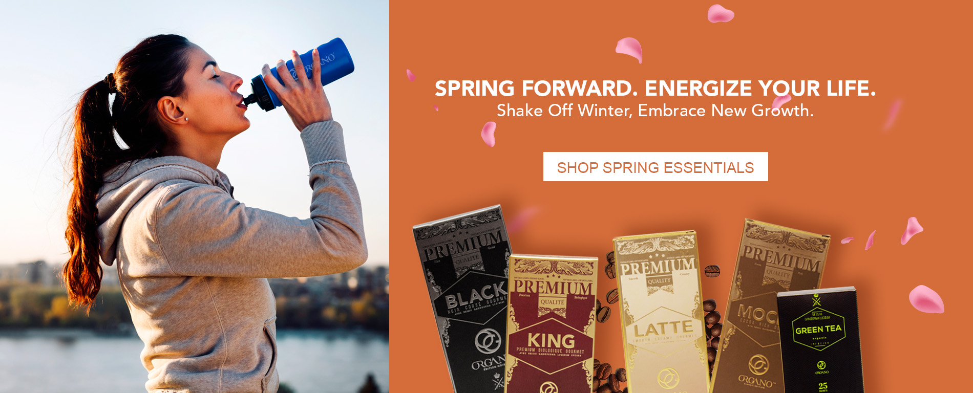 Spring banner ENG USA