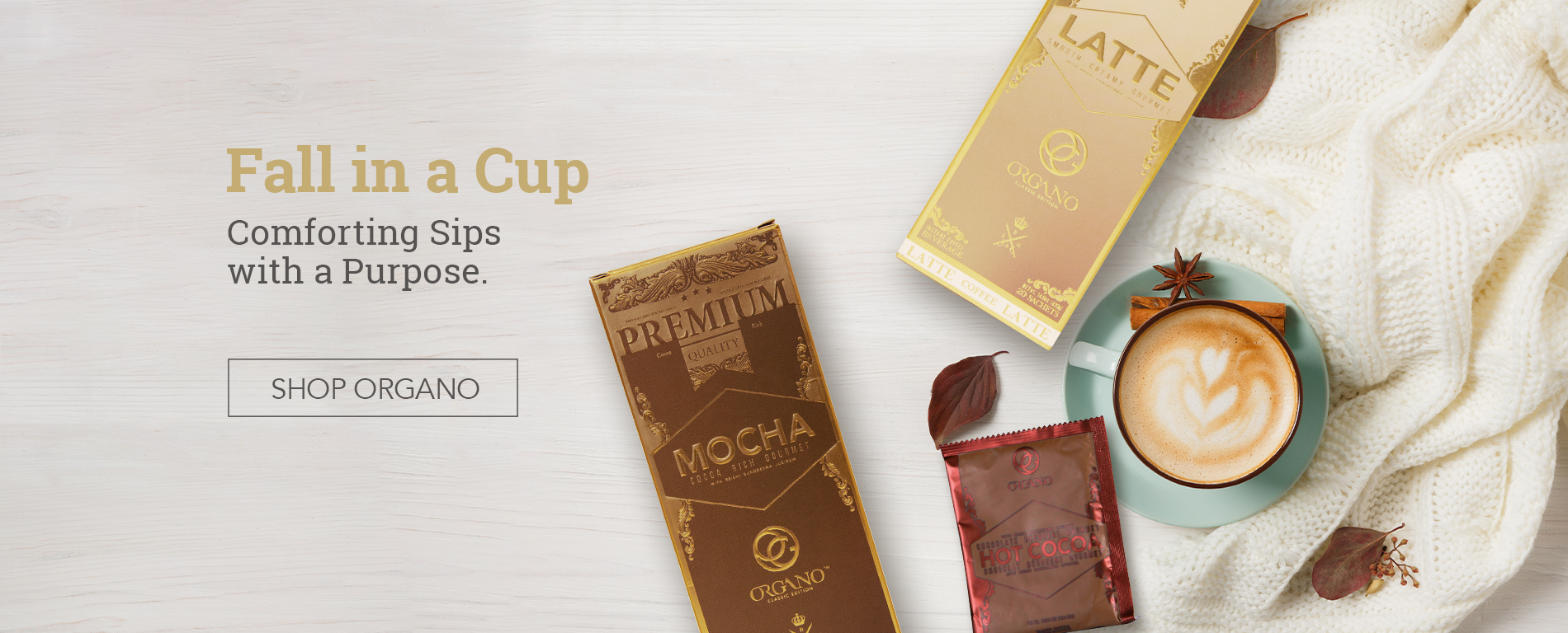 Fall in a Cup ENG USA